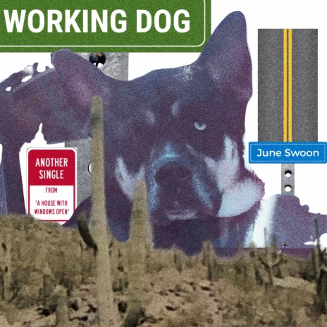 Working Dog