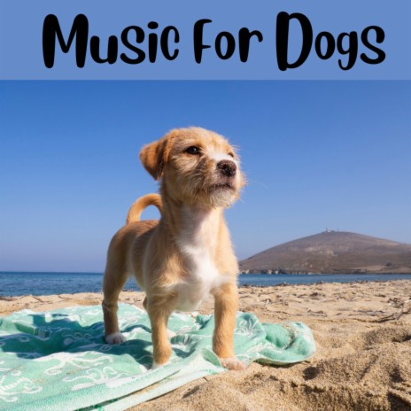 Chill My Dog ft. Music For Dogs, Relaxing Puppy Music & Calm Pets Music Academy | Boomplay Music