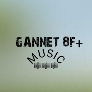 GANNET 8F+ (remix)