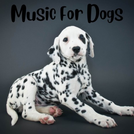 Sleepy Pup ft. Music For Dogs, Relaxing Puppy Music & Calm Pets Music Academy | Boomplay Music