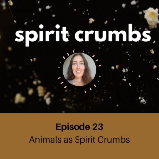 23: Animals as Spirit Crumbs