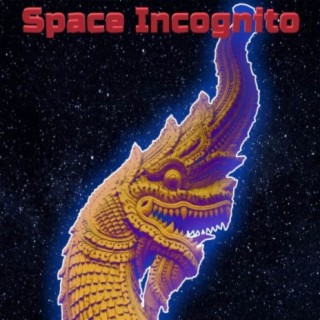 Space Incognito