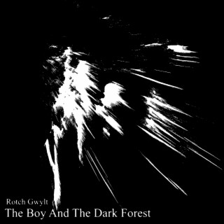 The Boy And The Dark Forest