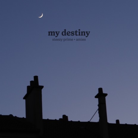 my destiny ft. amies | Boomplay Music