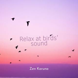 Relax at Birds Sound