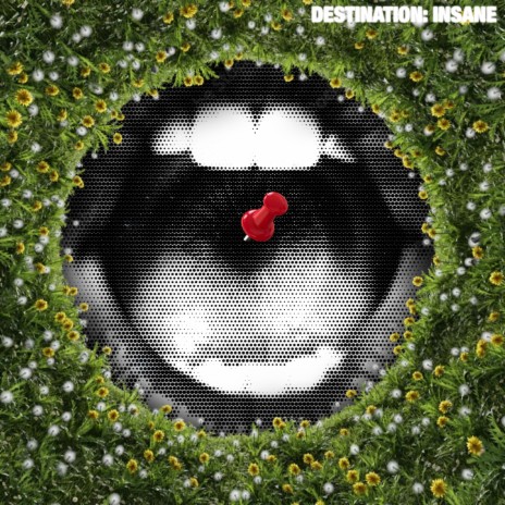 DESTINATION: INSANE | Boomplay Music