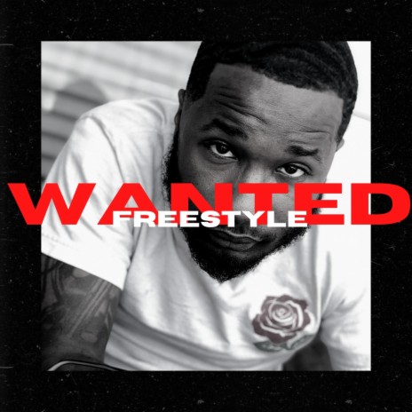Wanted Freestyle | Boomplay Music