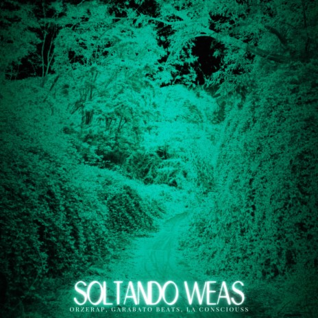 Soltando Weas ft. Garabato Beats | Boomplay Music