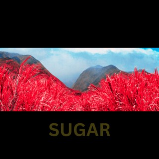 Sugar