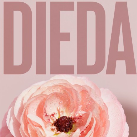 Dieda ft. Disastronaut | Boomplay Music