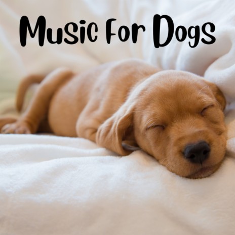 Gentle Beats for Happy Tails ft. Music For Dogs Peace, Relaxing Puppy Music & Calm Pets Music Academy | Boomplay Music