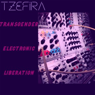 Transgender Electronic Liberation