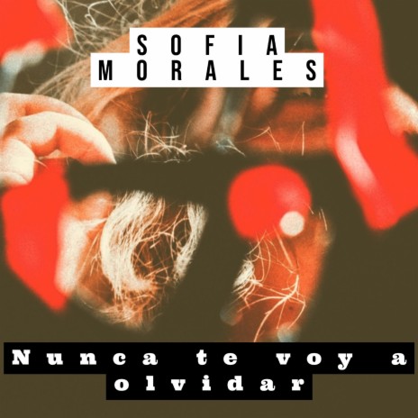 Nunca Te Voy a Olvidar | Boomplay Music