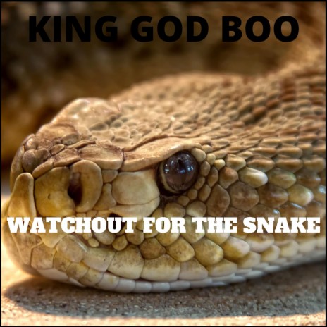 Watchout for the Snake | Boomplay Music