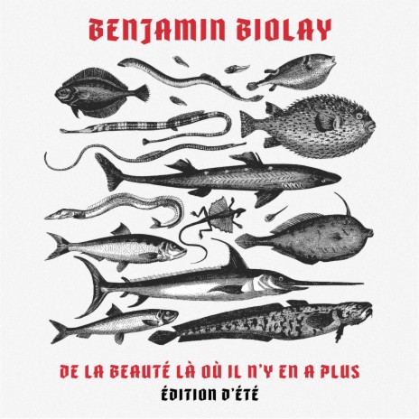 De la beauté là où il n'y en a plus (Édition d'été) | Boomplay Music