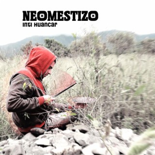 Neo Mestizo