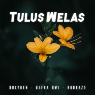 Tulus Welas