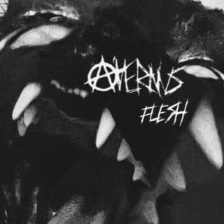 FLESH lyrics | Boomplay Music