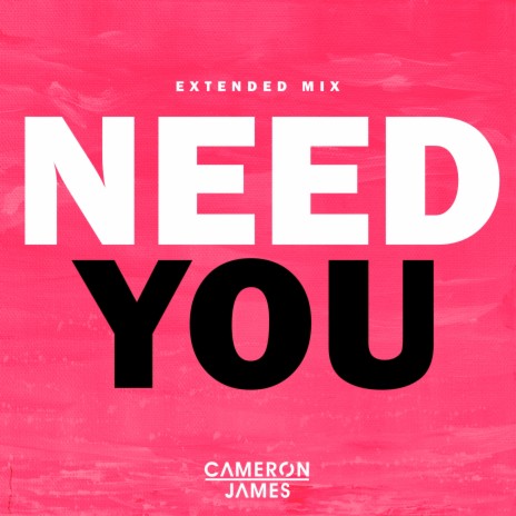 Need You (Extended Mix)