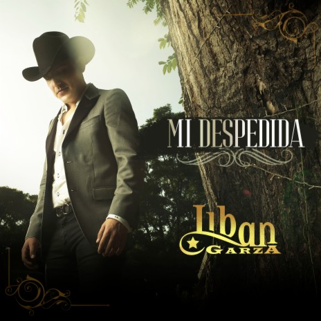 Mi Despedida | Boomplay Music