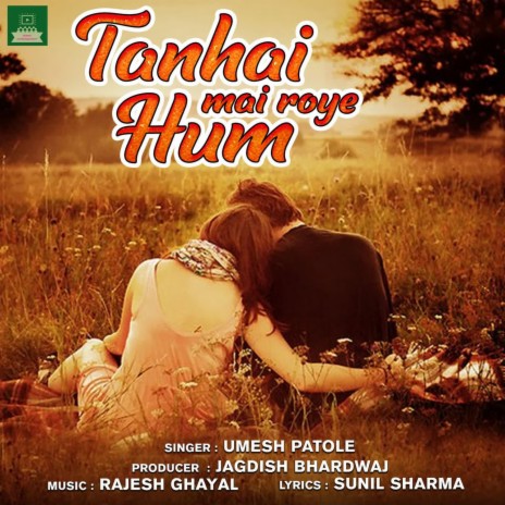 Tanhai Mai Roye Hum | Boomplay Music