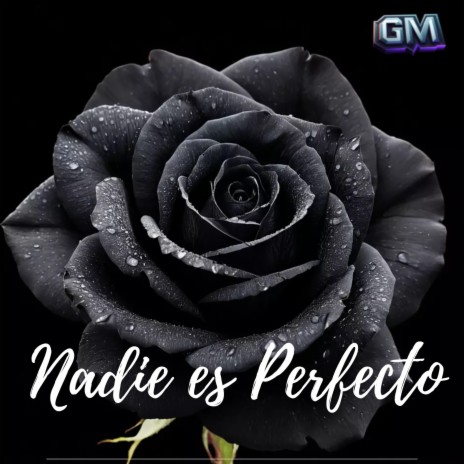 nadie es perfecto | Boomplay Music