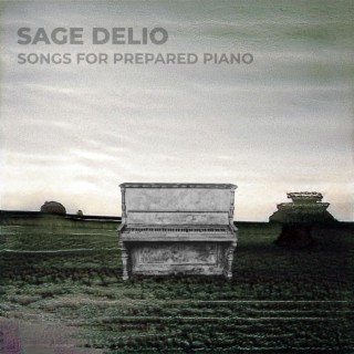 Songs for Prepared Piano