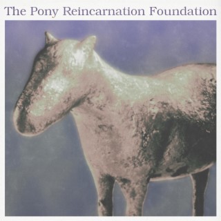 Me and My Pony lyrics | Boomplay Music