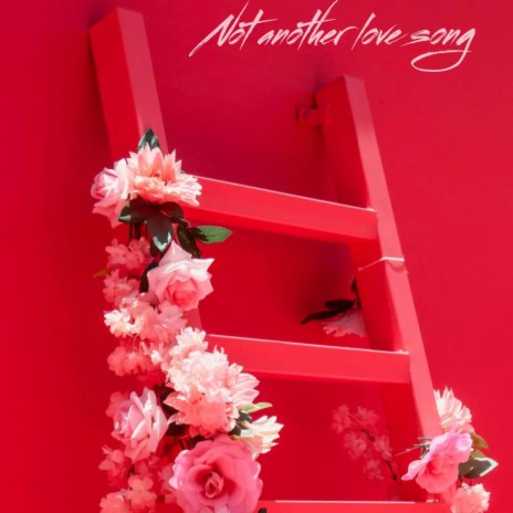 Not another love song | Boomplay Music