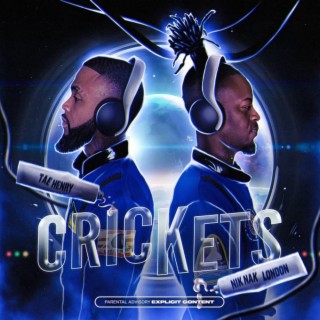 Crickets ft. Nik Nak London lyrics | Boomplay Music