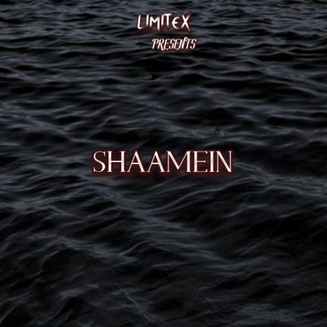 Shaamein | Boomplay Music