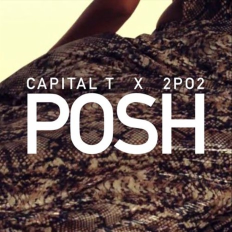 Posh ft. 2po2 | Boomplay Music