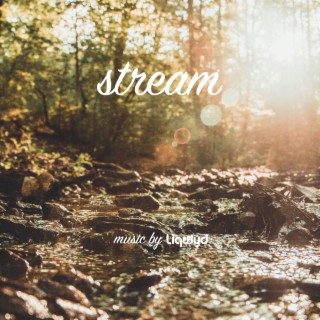 Stream