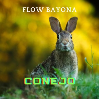 conejo | Boomplay Music