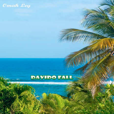 Davido Fall | Boomplay Music