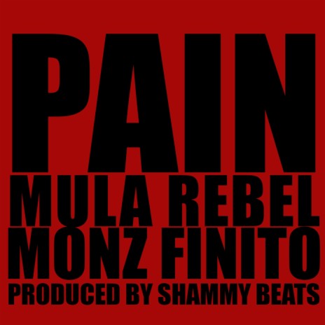 PAIN ft. Mula Rebel & Shammy Beats | Boomplay Music