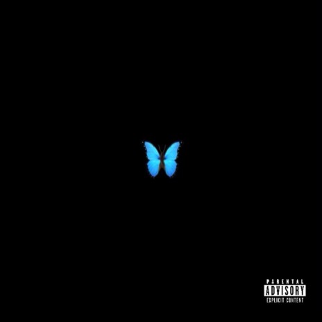 Butterfly Effect