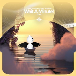 Wait a Minute! - Remake Cover