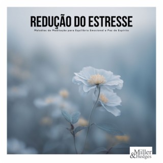 Redução do Estresse - Melodias de Meditação para Equilíbrio Emocional e Paz de Espírito