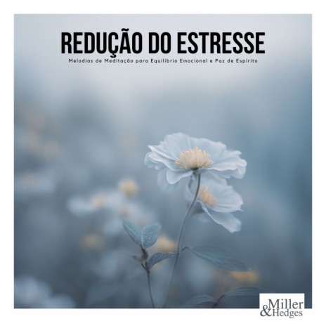 Redução do Estresse | Boomplay Music