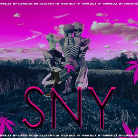 SNY | Boomplay Music