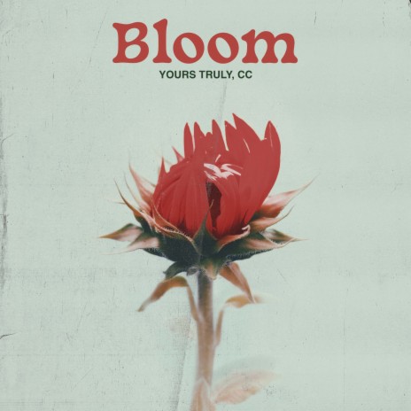 Bloom | Boomplay Music