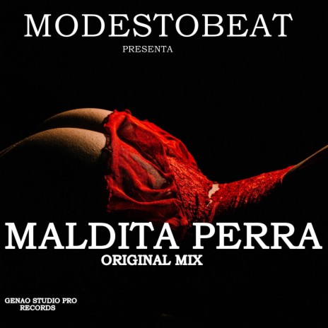 Maldita Perra (Original Mix) | Boomplay Music