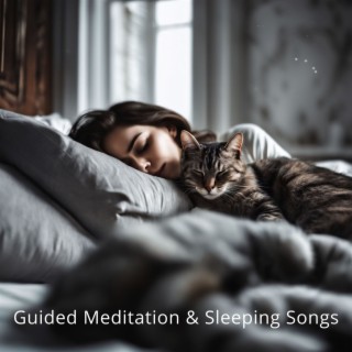 Guided Meditation & Sleeping Songs - Peace and Quiet Background Music to Cure Insomnia and Deeply Relax