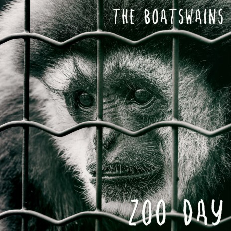 Zoo Day | Boomplay Music