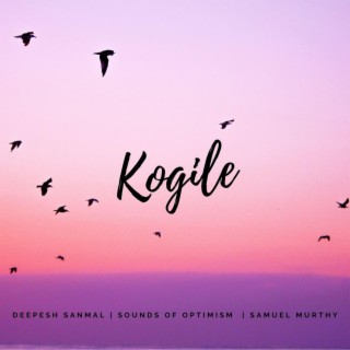 Kogile