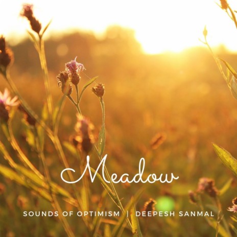 Meadow ft. Deepesh Sanmal | Boomplay Music