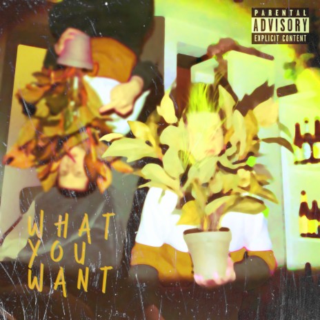 What You Want | Boomplay Music