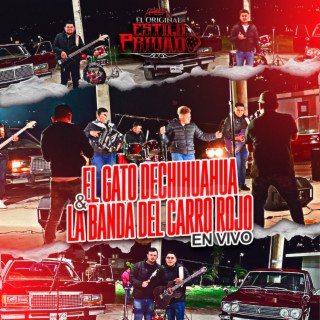 El Gato de Chihuahua y la Banda del Carro Rojo (En Vivo)