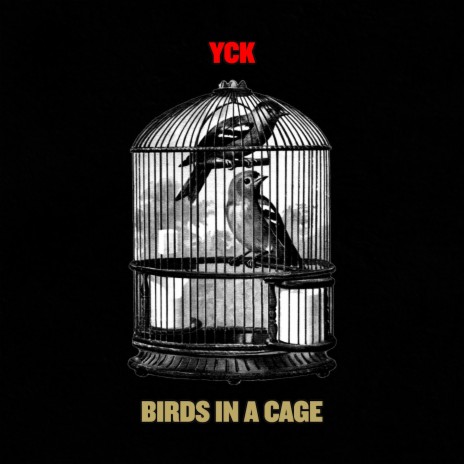 Birds in a Cage | Boomplay Music